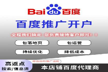 百度广告投放策略：成功案例解析